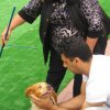 11th National Breed Show 2013