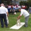 32nd National Breed Show - France