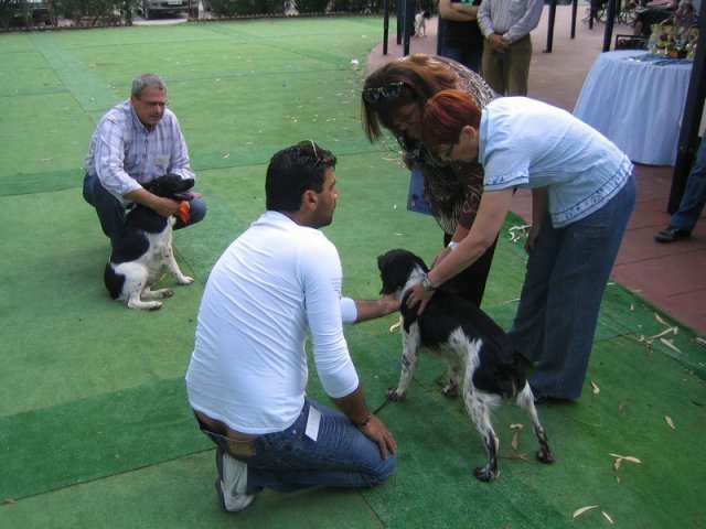 9th-national-breed-show0017