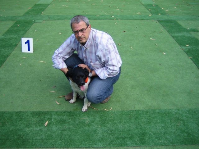 9th-national-breed-show0019