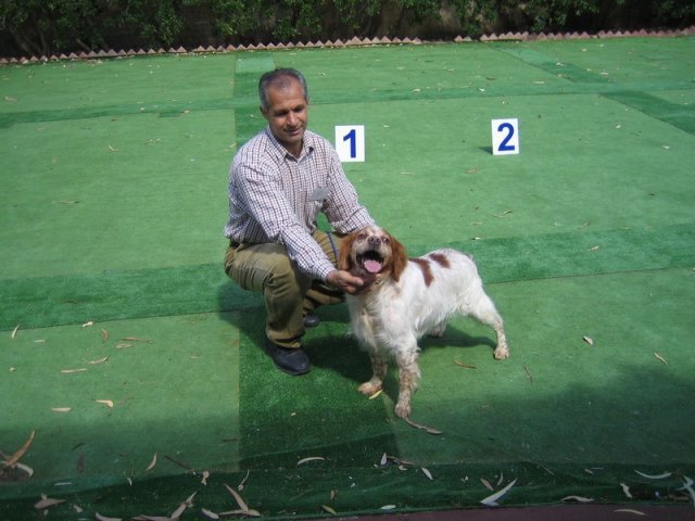 9th-national-breed-show0039