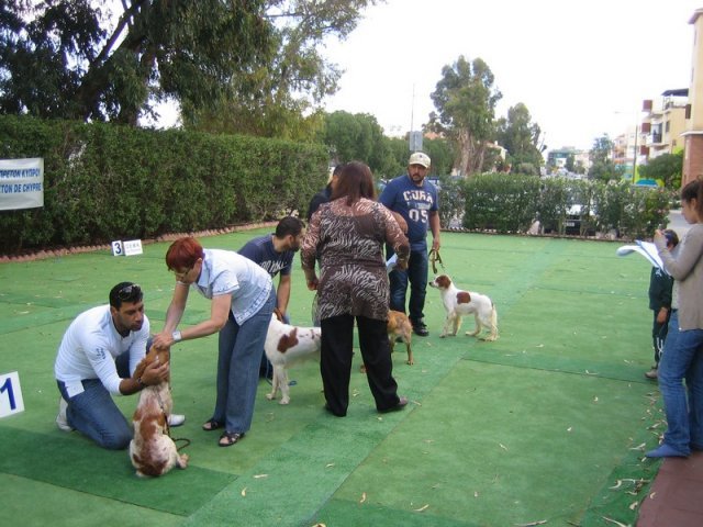 9th-national-breed-show0046