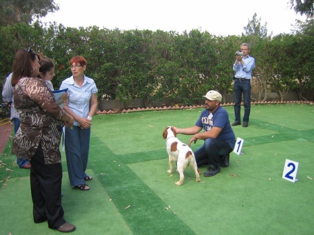 9th-national-breed-show0051