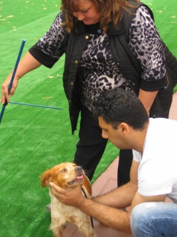 breed-show-201300014
