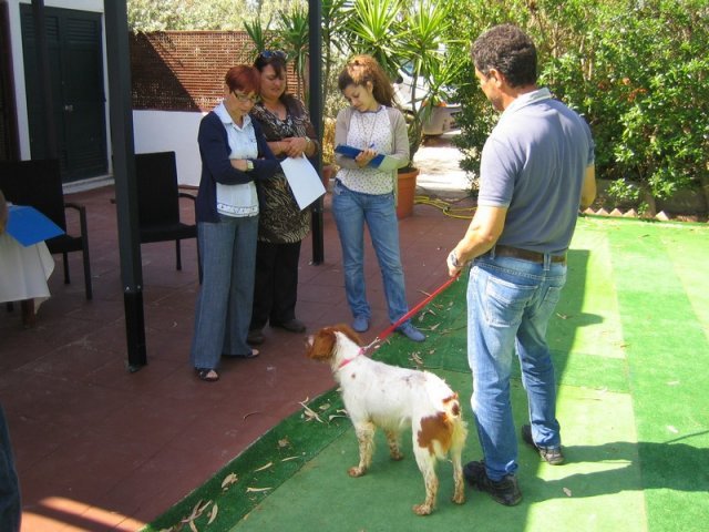 9th-national-breed-show0004