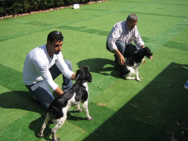 9th-national-breed-show0012