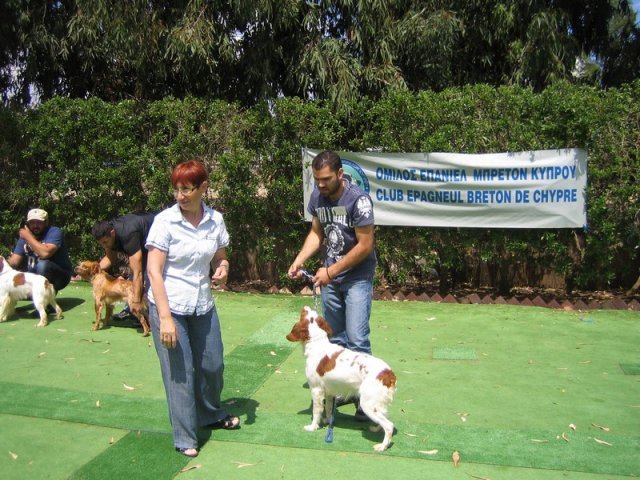 9th-national-breed-show0055