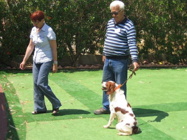 9th-national-breed-show0063