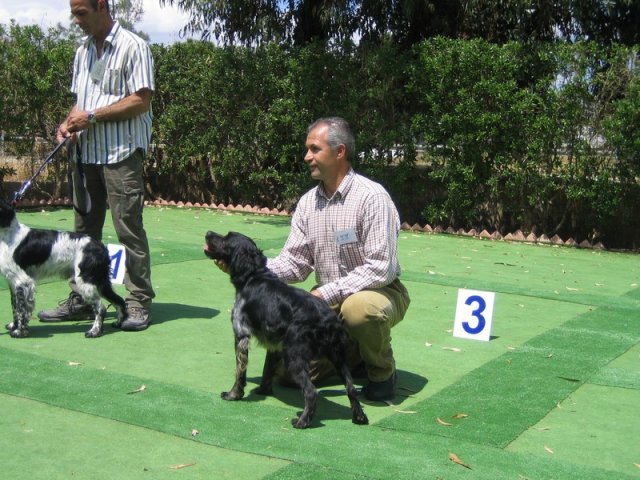 9th-national-breed-show0068
