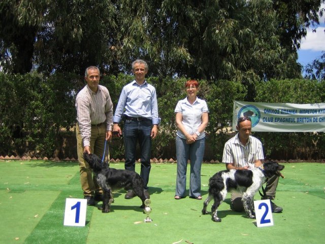 9th-national-breed-show0082