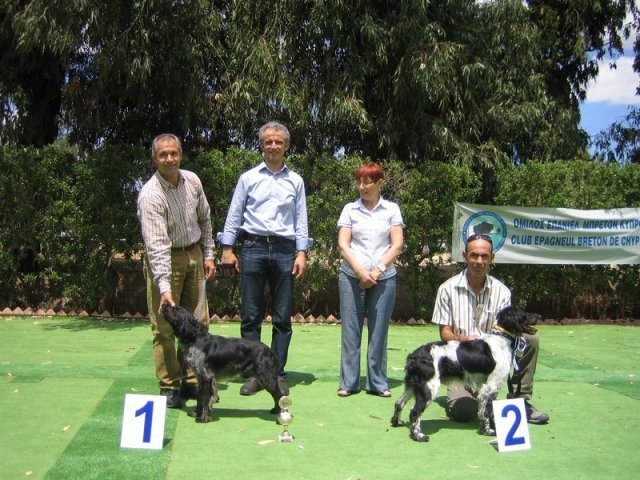 9th-national-breed-show0083