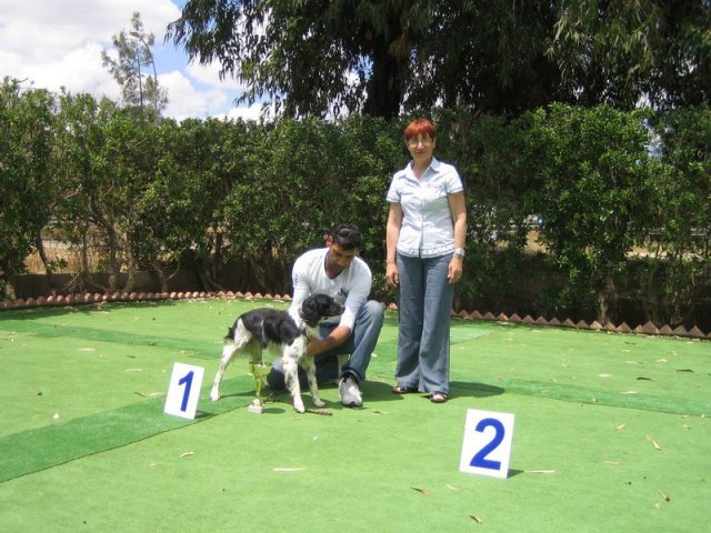 9th-national-breed-show0089
