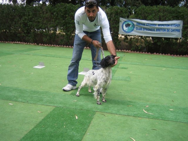 9th-national-breed-show0102