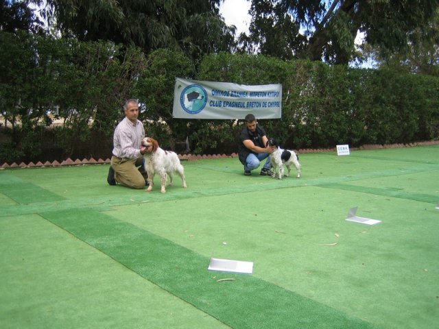 9th-national-breed-show0103