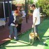 9th National Breed Show - Cyprus 2011