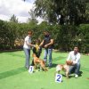 9th-national-breed-show0059