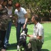 9th National Breed Show - Cyprus 2011