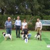 9th-national-breed-show0100