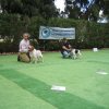 9th-national-breed-show0103